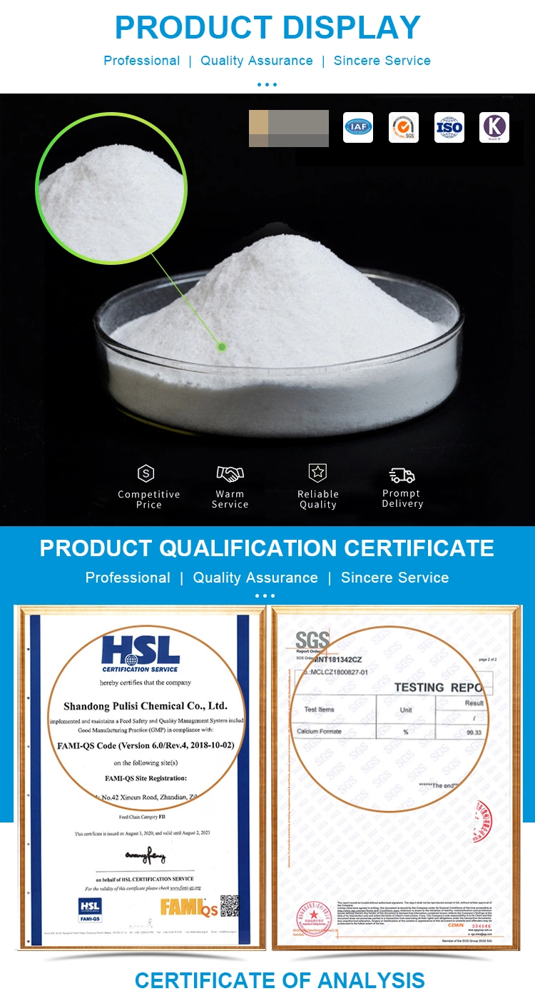 China Chemical Industry CAS 544-17-2 98% Feed Additive Industrial Grade 98% or Construction Calcium Formate Powder with Low Price